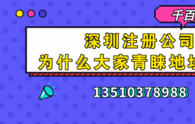 深圳市網(wǎng)上注冊公司資料，拿走不謝！